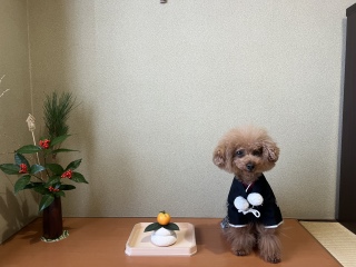 �Ȃ��[�[��