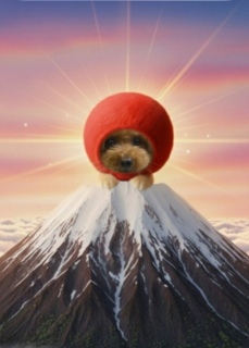 �ŏI���̓f�g�b�N�X