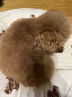 �������V�����v�[