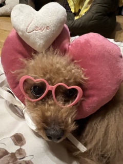 �t���Ă݂�❤️