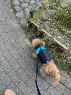 ����[�Ӂ[💦💦💦