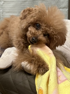 �݂�����c