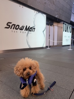 �|�b�v�A�b�v