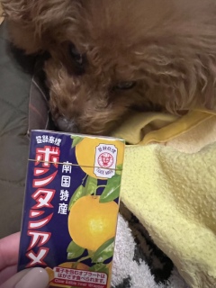 �\����‼️