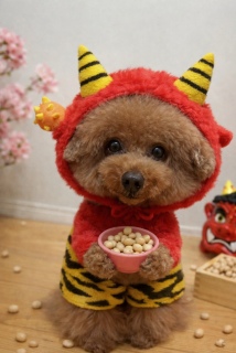 �`���b�s�[�ɂ��肢������