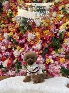 �ړ�����