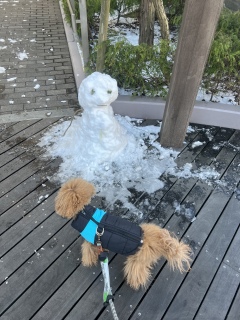 �䂫�����☃️