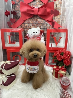 �g���~���Oday✂️