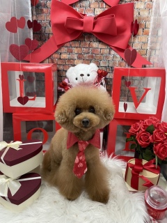 ������Ɓ`😍