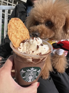 �т����艿�i👀