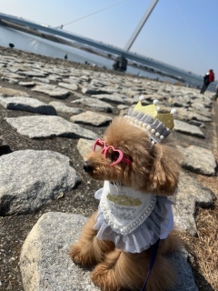 �������V�C☀️.��