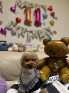 �����B���ł���‪💢