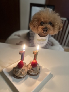 ���߂łƂ�♡♡