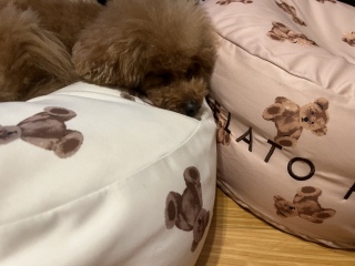 ���������c