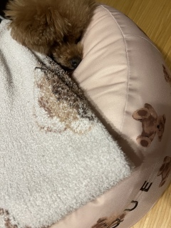 ���[��[�ʐ^