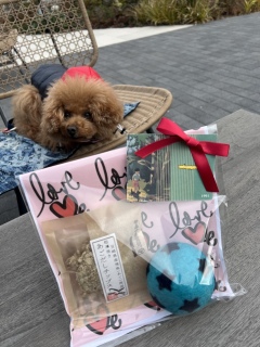 𝔹𝕚𝕣𝕥𝕙𝕕𝕒𝕪☺︎ *.߃v���[���g