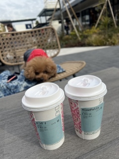 ������������🛍.�o