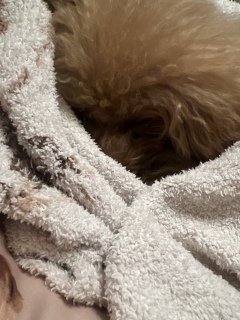 �����͈����