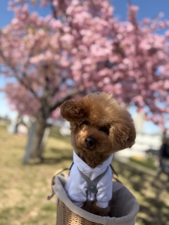 �{�P�{�P📷