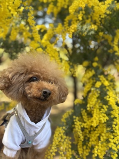 ����Ƃ̋C����