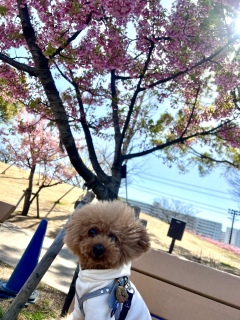 �B�e������[