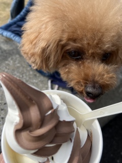 �����Ǝv����