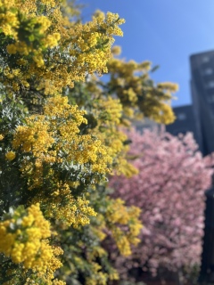 ���V�C������☀️