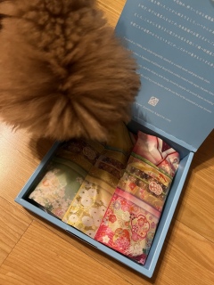 �����Ƃ��@�Ԍ�