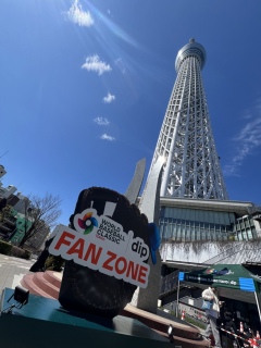 �K���o��⚾️