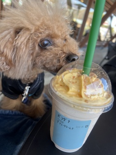 �����������😭