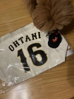 WBC�I�t�B�V�����O�b�Y