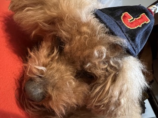 �L�[�`�F�[��