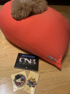 ���̓��T��