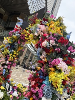 ����J���U��🐶