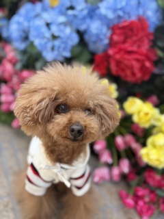 �@��ς������炳