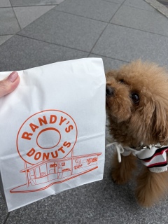 �󂢂Ă�����