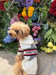 �������🫶