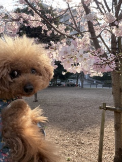 �ߏ��̌���