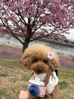 �J�~��O��