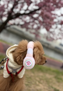 �Ǝv���Ă���`