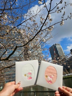 ���킢���n���J�`