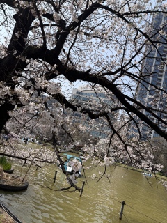 �������V�C☀️