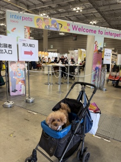 �����͌ߌォ��