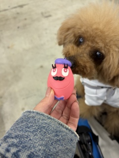 �K�`���K�`��