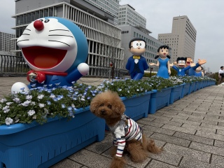 �h��������((=߄D�=)�