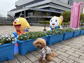 �R������