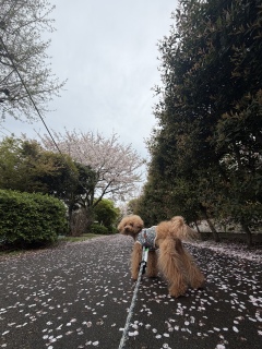 �����͂��F�B��