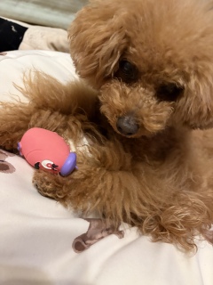 ����Ȃ��悤��