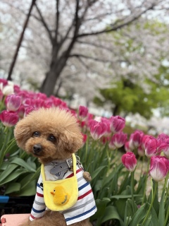 ℍ𝕒𝕡𝕡𝕪𝕓𝕚𝕣𝕥𝕙𝕕𝕒𝕪🎊