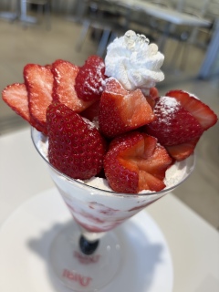 �v���Ԃ�́[